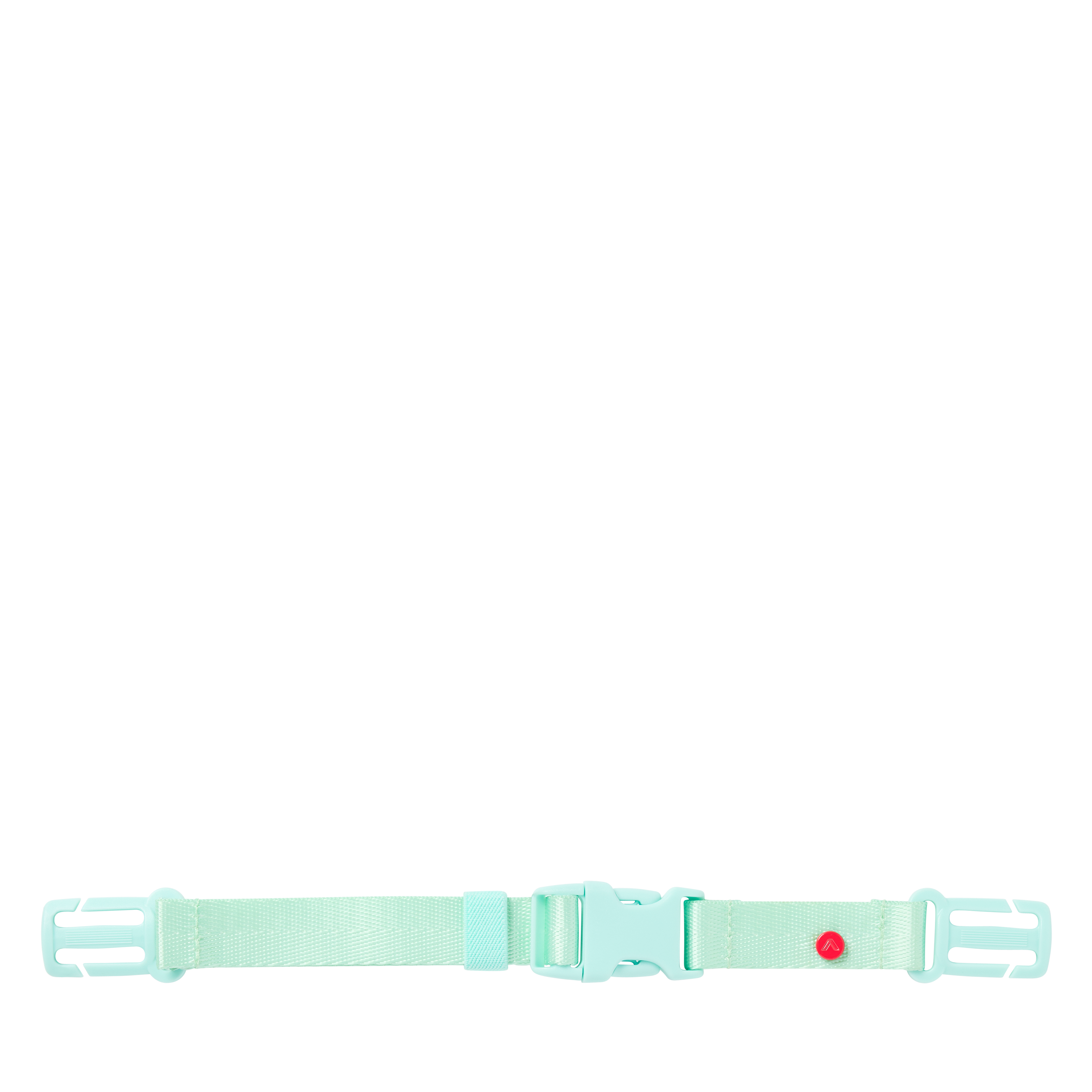 Detachable Chest Strap Mint